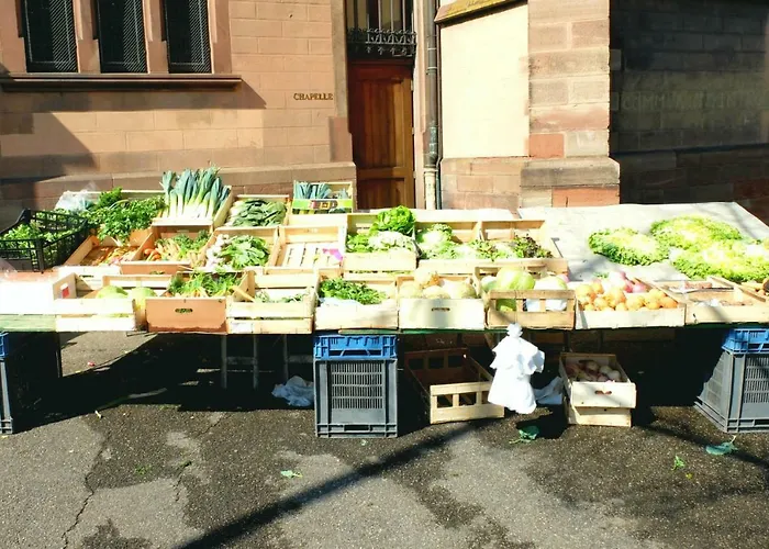 Apartment Chez Thomas