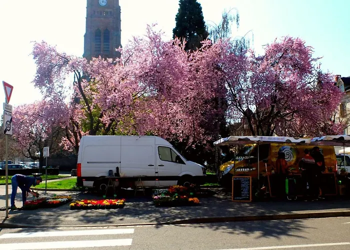 Apartment Chez Thomas *